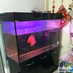 一米二魚(yú)缸及全套配件轉(zhuǎn)讓